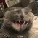 2scrunge