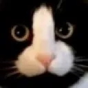 __