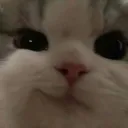 heheh
