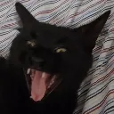 5scrunge