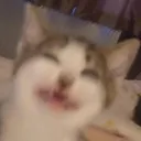 7scrunge