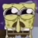 sponge
