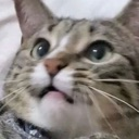 emoji_317 Discord emoji