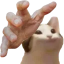 popcat_grab