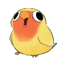 birbwobble