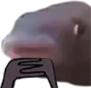 HMMMM
