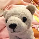 dogbear