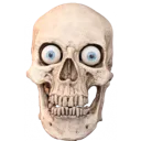 skull