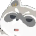 annoyed_raccoon