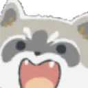 very_happy_raccoon