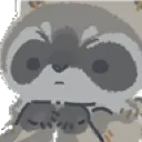contemplating_raccoon
