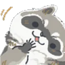 raccoon_tilting_head