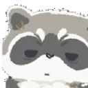 tired_raccoon