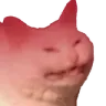 Cat Mad catmad Discord Emoji