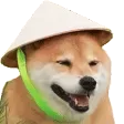 grassdogeanim