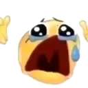 cry