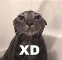 XD_XP Discord emoji