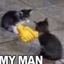 mymancat mymancat