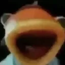 OO