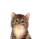 kitty_for_Nylahremovebgpreview Discord Emoji