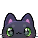 blackCat_lurk