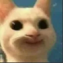cat_smile