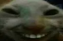 xdd