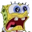 noo noo