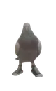 fly