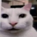 waos