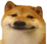 iTzu_doggohappy