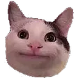 mugaieNia