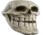 Trollskull trollskull Discord Emoji