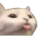 Cat_Blep Cat_Blep