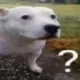 huh