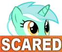 scared