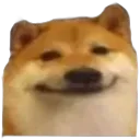 emoji_13
