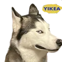 sonicyike sonicyike