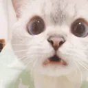 NanaShocked