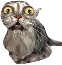 ahhh
