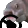 dr_fishsteer