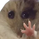 HamsterHand0