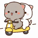 cat8