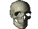 SkullSpin