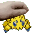 joltik_pet