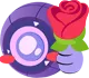 svisforyou svisforyou