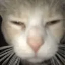 emoji_31