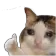 SadCat