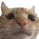 swag_sad swag_sad