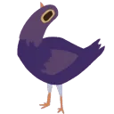pigeonwobble pigeonwobble